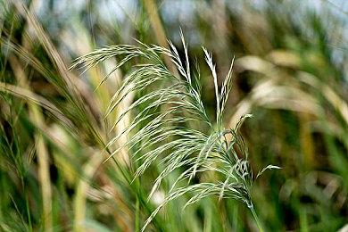 《银河战士：生存恐惧》试玩上线 港日美服均支持中文